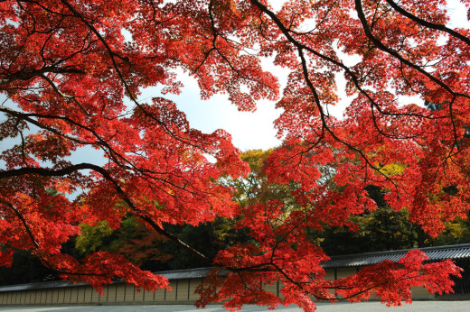 703800 (a): :2560x1700